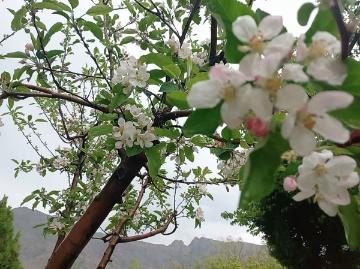 قاب هایی از یک روز بارانی در خوابگاه کوثر